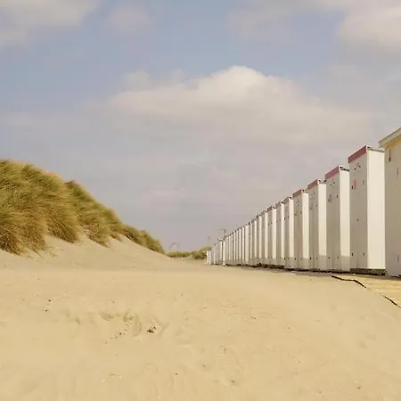 דירה Amalia, Ontspannen Aan Zee In *